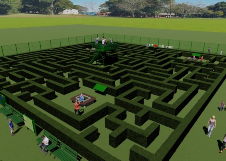 O Labirinto Vegetal será composto por espécies nativas da Mata Atlântica do Alto Paraná (MAAPA). Ilustração: divulgação