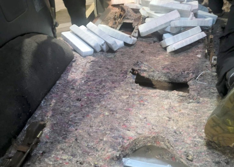 Foto da apreensão. divulgação