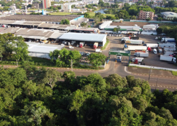 Ceasa de Foz do Iguaçu fará licitação para contratar serviços de limpeza e coleta de resíduos
Foto: CEASA