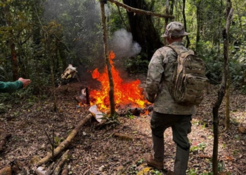 ´Fotos da operação: divulgação