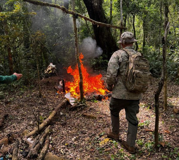 ´Fotos da operação: divulgação