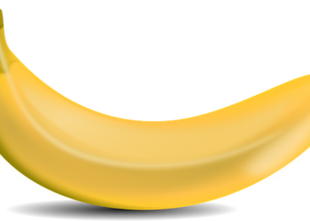 Foto ilustrativa: Pixabay