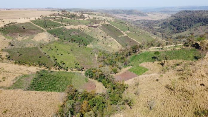 Foto ilustrativa: Agência IP