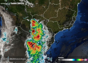 Foto de satélite divulgada na manhã desta segunda-feira pelo Simepar mostra tempo nublado em quase todo o Paraná