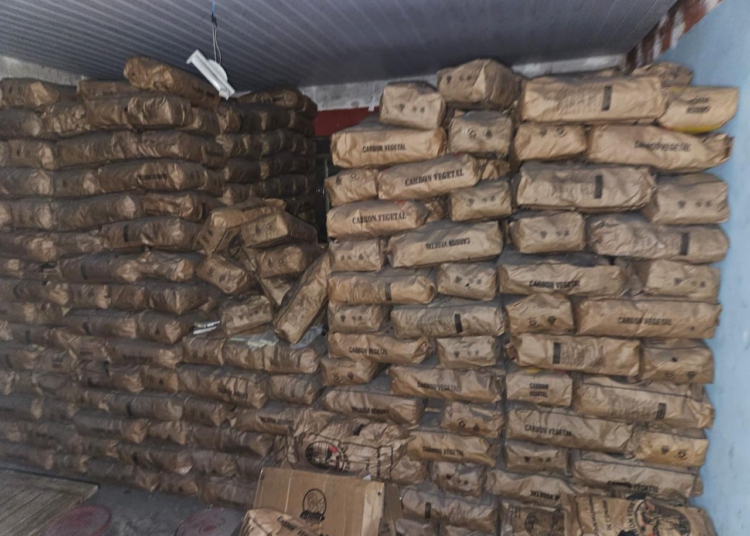 Carvão apreendido. Foto: divulgação