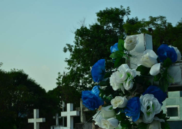 Foto: divulgação/PMFI