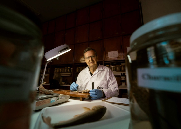 Pesquisador Angelo Antônio Agostinho da UEM. Foto: SETI-PR