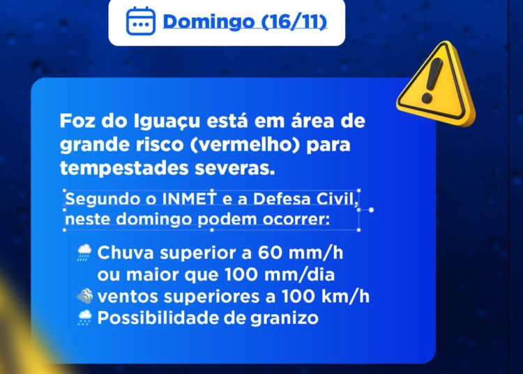 Ilustração: divulgação