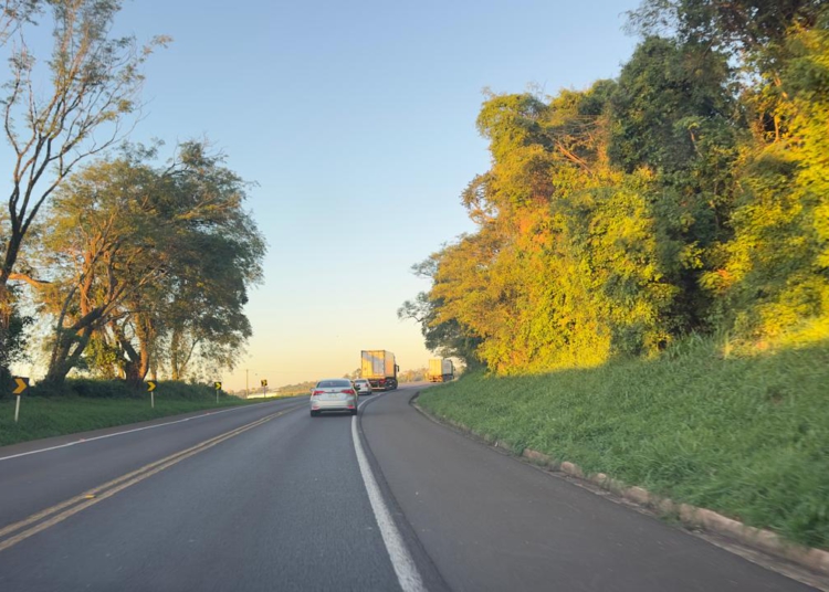 Foto ilustrativa: divulgação