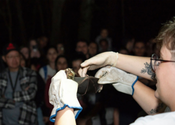 Noite dos Morcegos: UEM promove trilha no Parque do Ingá que une ciência e aventura
Foto: UEM