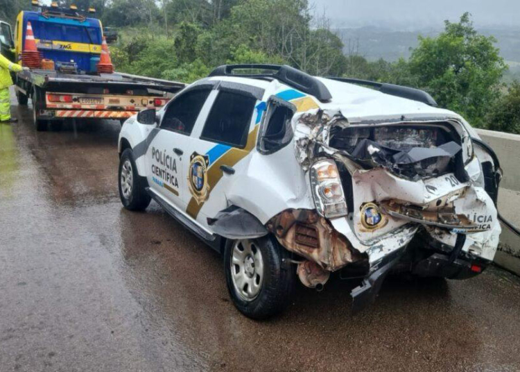 PCPR e PRF miram esquema que utilizava veículos adulterados no transporte de drogas
Foto: PCPR