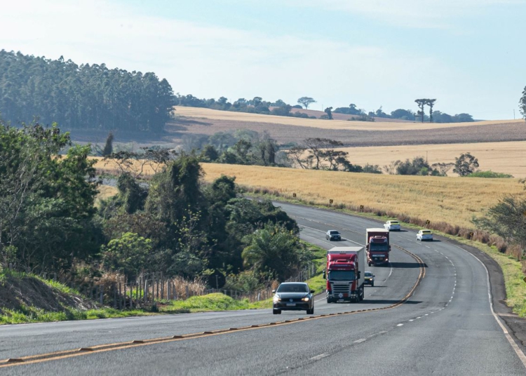 Foto: Roberto Dziura Jr/AEN