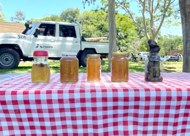 Mel produzido pela Itaipu. Foto: divulgação/IB