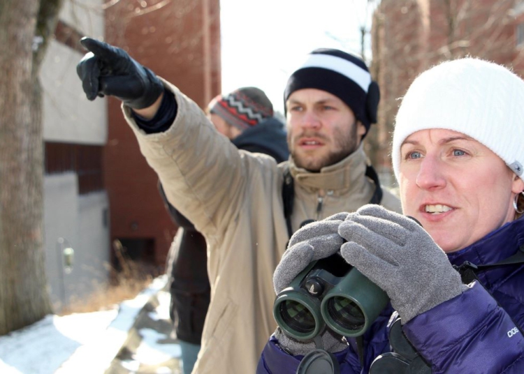 Foto ilustrativa: Pixabay