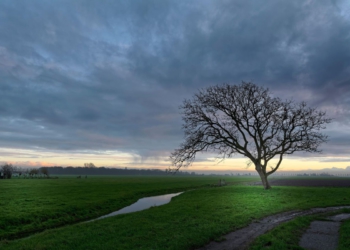 Foto ilustrativa: Pixabay