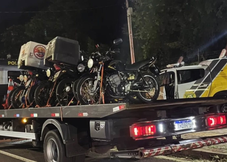 Foto da operação: divulgação