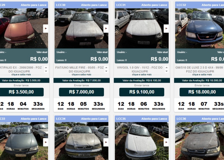 Foto: captação do site do leiloeiro