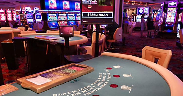 Foto: divulgação/Agência IP