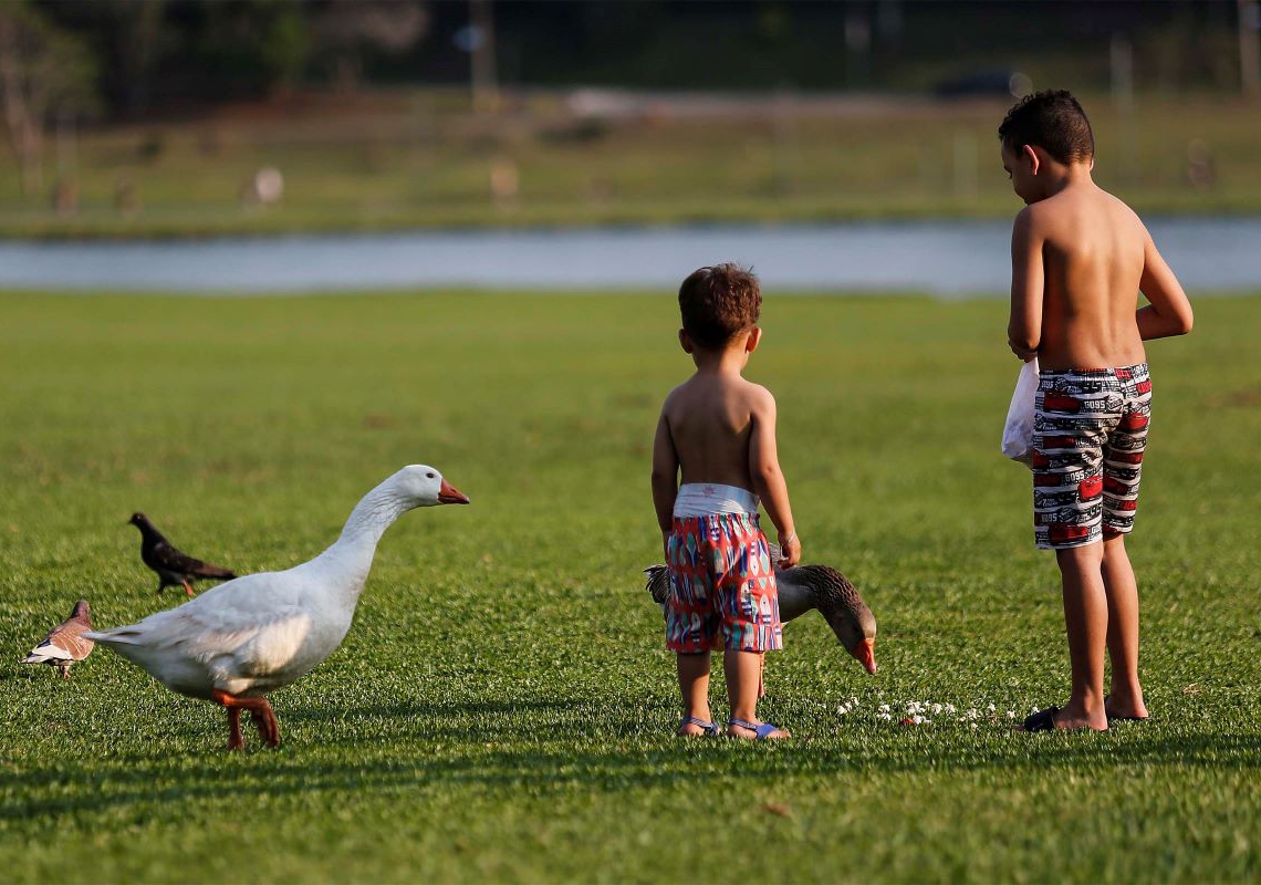 Foto: Jonathan Campos/AEN