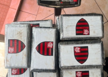 Foto da droga apreendida: divulgação