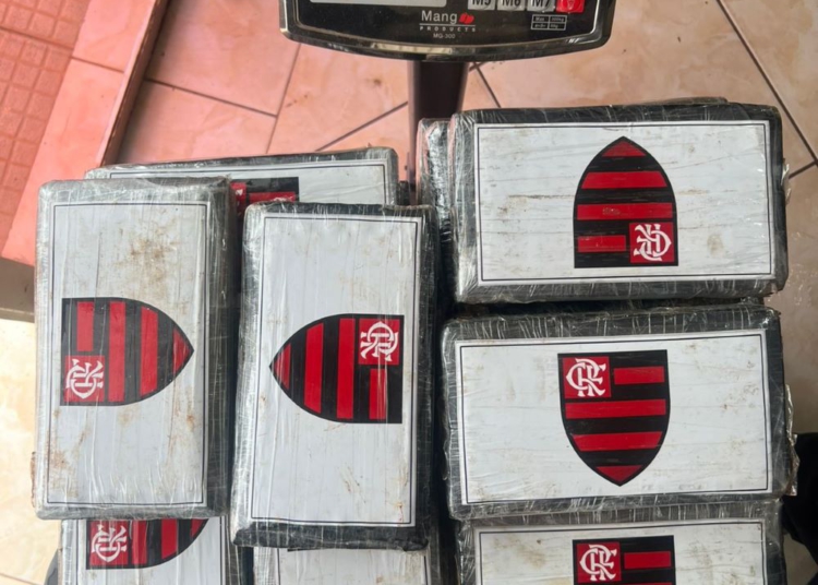 Foto da droga apreendida: divulgação