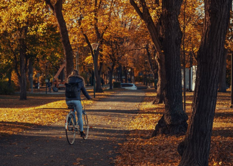 Foto ilustrativa: Simepar