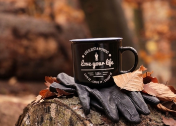 Foto Ilustrativa: Pixabay