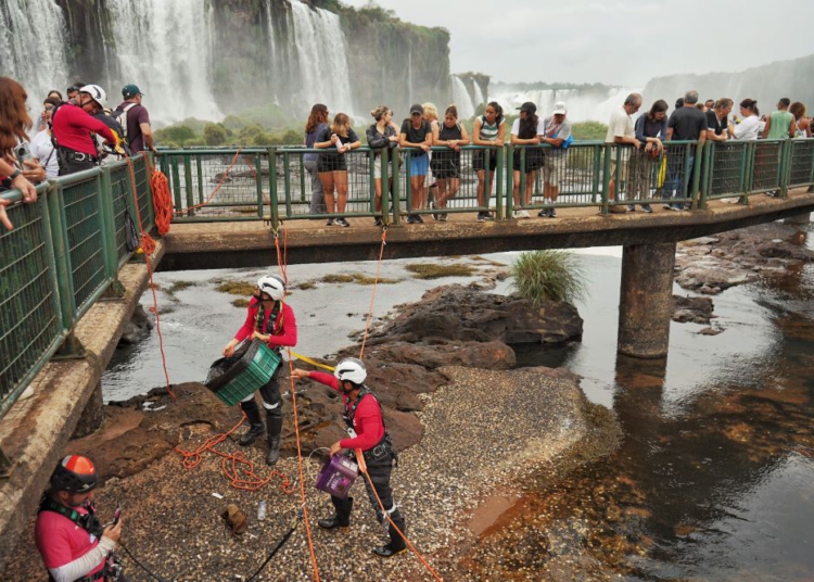 Foto da coleta das moedas: divulgação