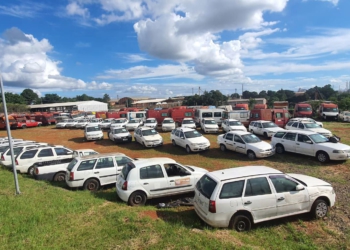 Foto dos veículos que serão leiloados: divulgação