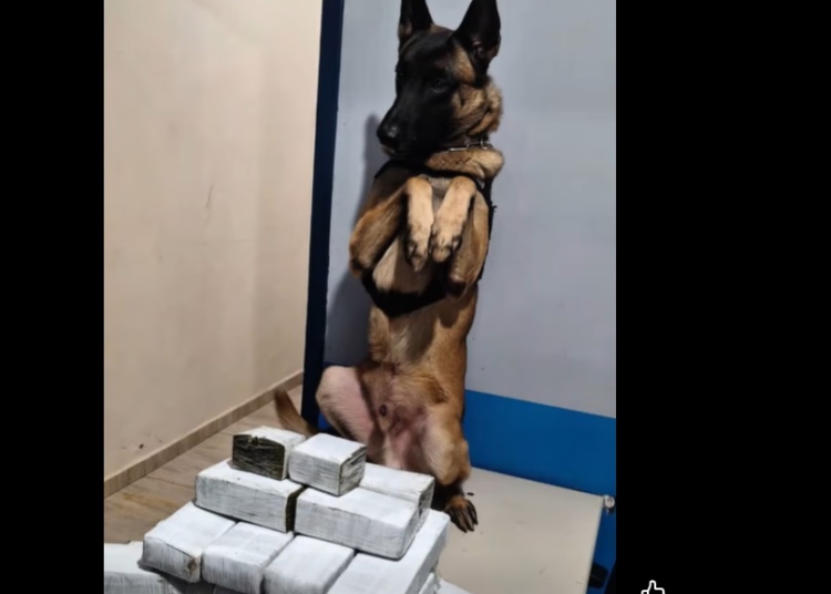 Foto: captura de vídeo