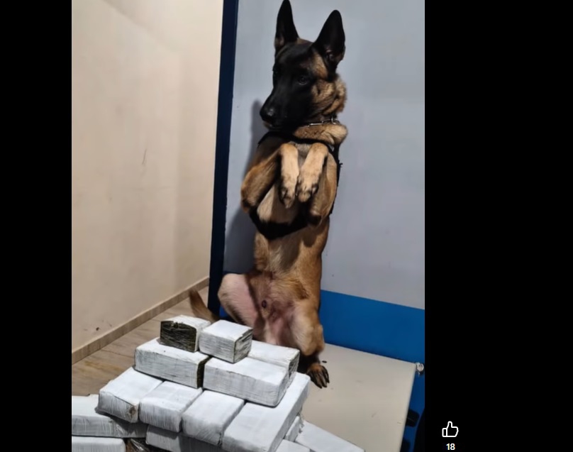 Foto: captura de vídeo