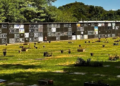 Foto: divulgação/PMFI