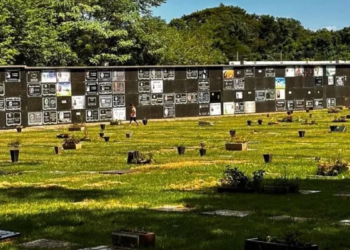 Foto: divulgação/PMFI