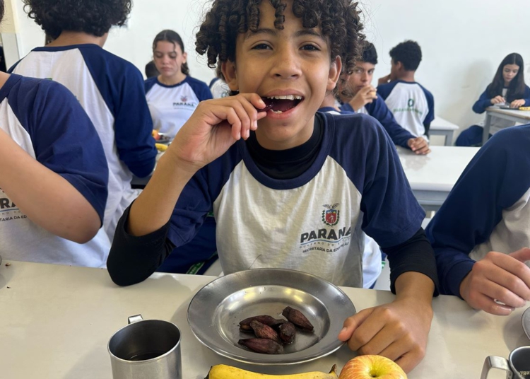 Pinhão ganha espaço nos cardápios estudantis da rede estadual
Foto: Karina Audrey/Fundepar