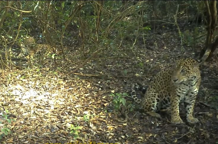 Foto: captura de vídeo