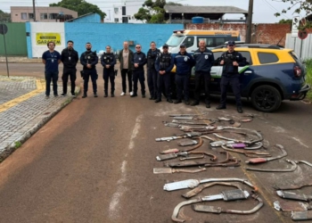 Foto: divulgação