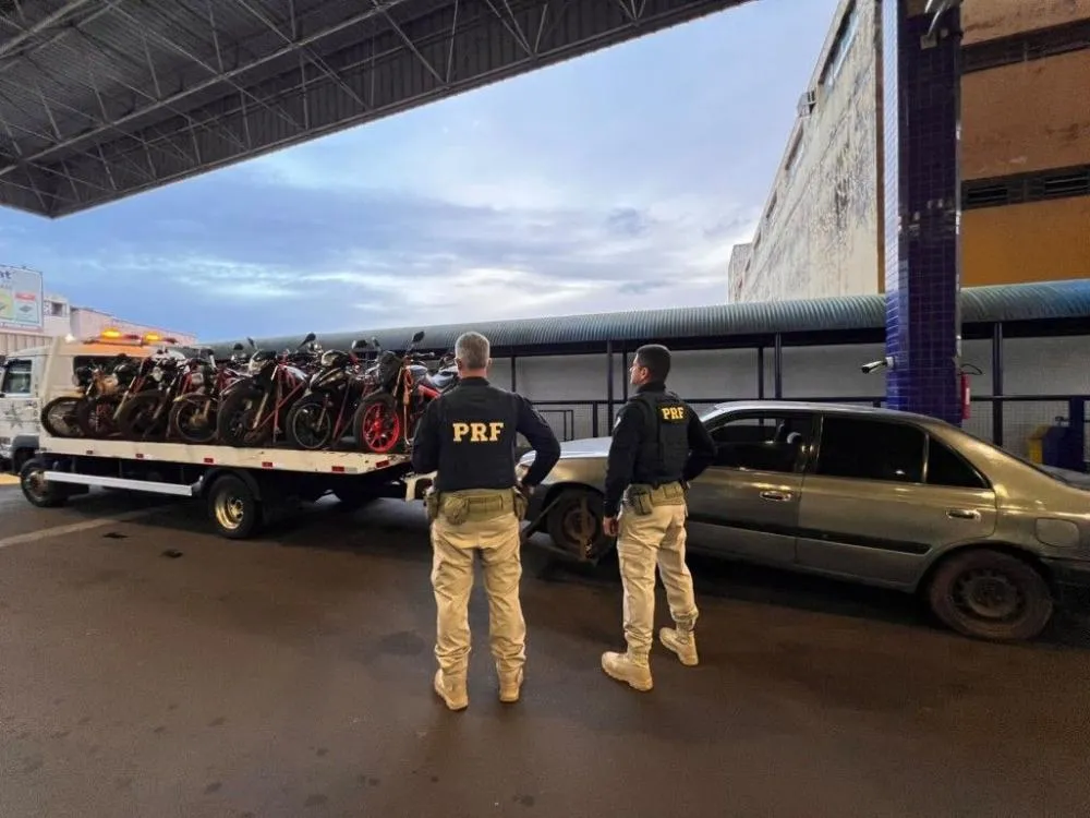 Foto da apreensão: divulgação