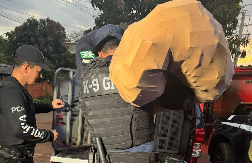 Foto: divulgação