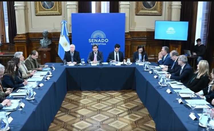 Foto: captura de imagem