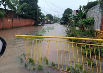 Rua Flávio Cavalieri, Jardim Morenitas. Foto: PMFI