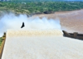 Foto: IB/divulgação