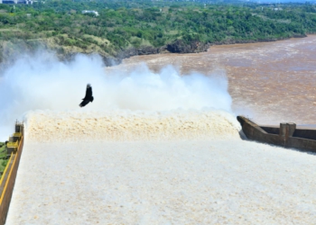 Foto: IB/divulgação